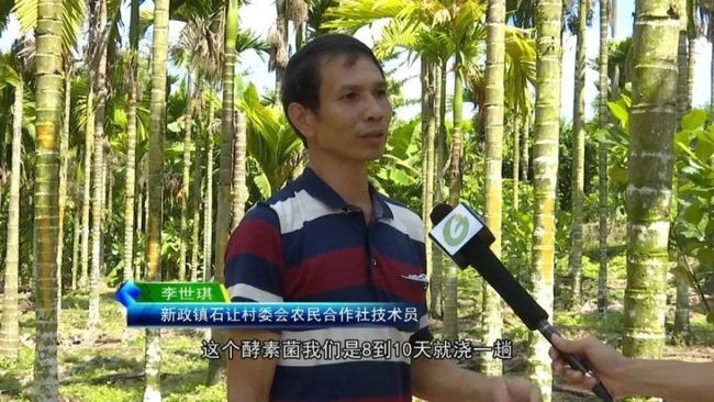 印度的恶魔果实槟榔,恶魔的果实槟榔科普