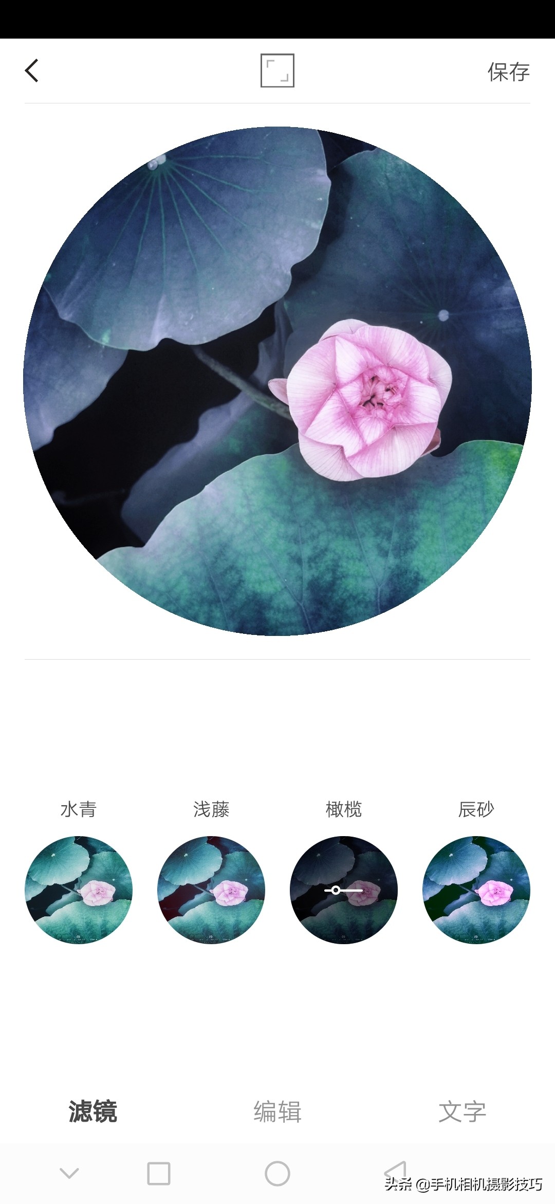 照片加水印哪个软件不丢画质,手机app照片一键加水印