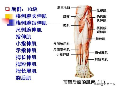 一针治疗网球肘最好方法,网球肘严重的该如何治疗才好