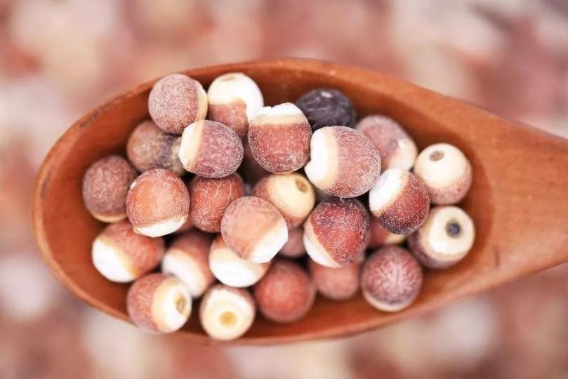 山药汤怎么做最养脾胃成人,秋天山药煲什么汤补脾胃肝肾