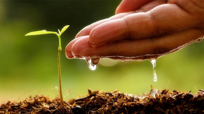 怎样把孩子培养成暖男,怎么让孩子成为一名小暖男