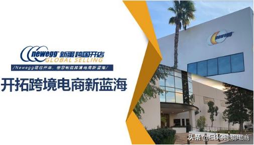 新蛋在美国市场份额,新蛋在美国市场前景