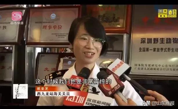 女子腰缠624条金项链入关被查,总价89万!网友:现实版腰缠万贯