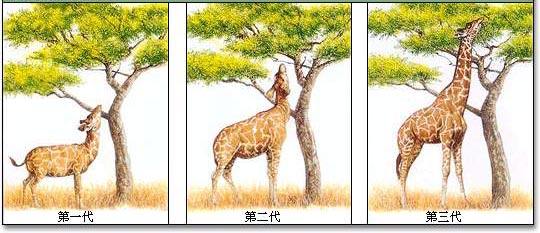 了解情绪的源头，你才能真正懂人性，才能真正调动智慧