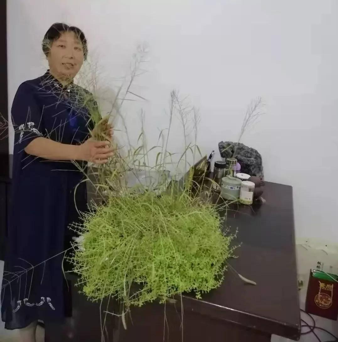 【觅友战狼记】与狼共舞近10年，我实现了“零用药”