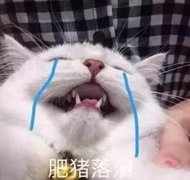 热炸!四川这些小众避暑佳境,光看图就能凉快10℃