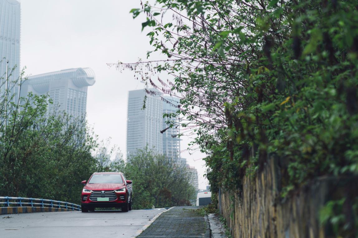 高清*码无**，比亚迪车主晒大片啦