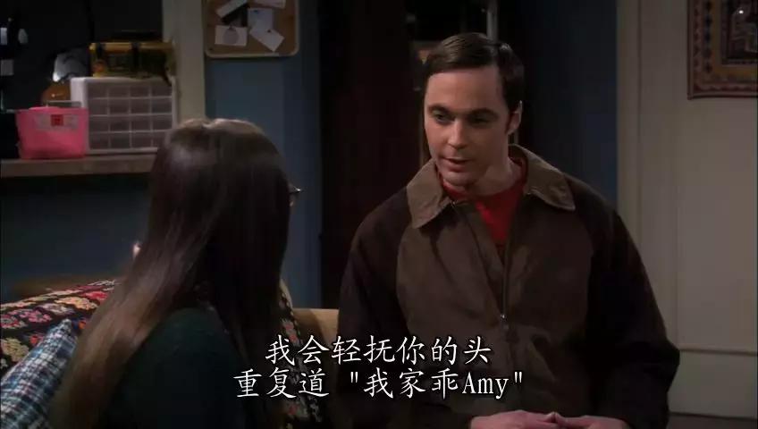 《生活大爆炸》大结局：我28岁，追了它整整9年，你呢？