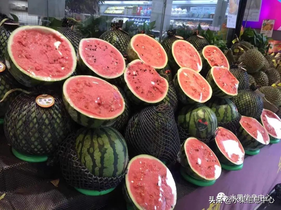 海南水果都有哪些品种图片及名称,海南水果上市时间表赶快收藏吧