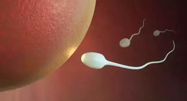 女人最佳生育能力年龄,女人的生育能力怎么来的