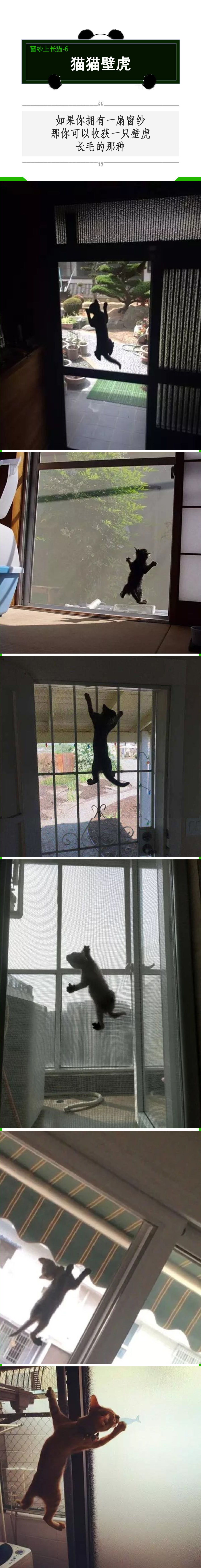 有纱窗为什么家里总有蚊子,有防盗网的房间窗户防蚊纱窗