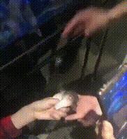 男子吃这鱼中毒,医生:无解药!曾有人误食身亡