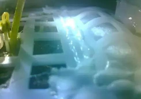 河南“水果猎人”走遍东南亚雨林，吃过600多种水果；月球上长出第一株绿芽，种子培育来自安阳丨大河早新闻