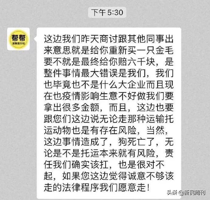 金毛被空运转为陆运,空运改陆运金毛事件