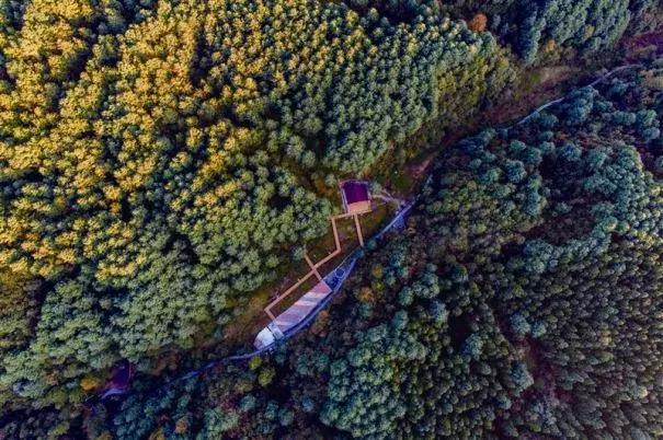 贵州60个重点景区名单,贵州5个风景区