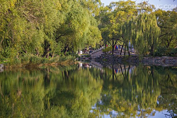 初中语文课外古诗意象,初中语文古诗之意象意境知识点