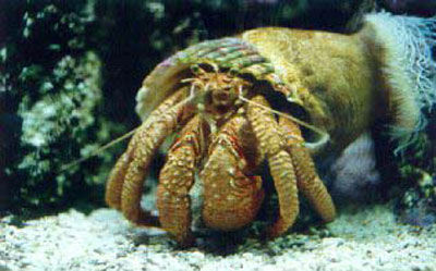 高一班会班主任讲的三个小故事,班主任必备的励志故事