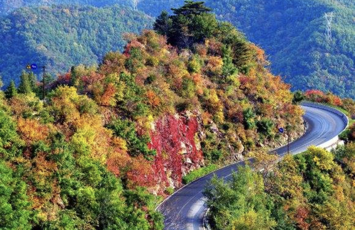 确认过眼神你是对的人英文翻译,确认过眼神你遇上错的人