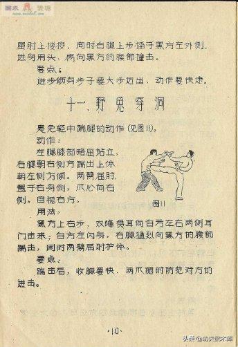 少林十三抓拳谱,古传拳经拳法秘要手抄本