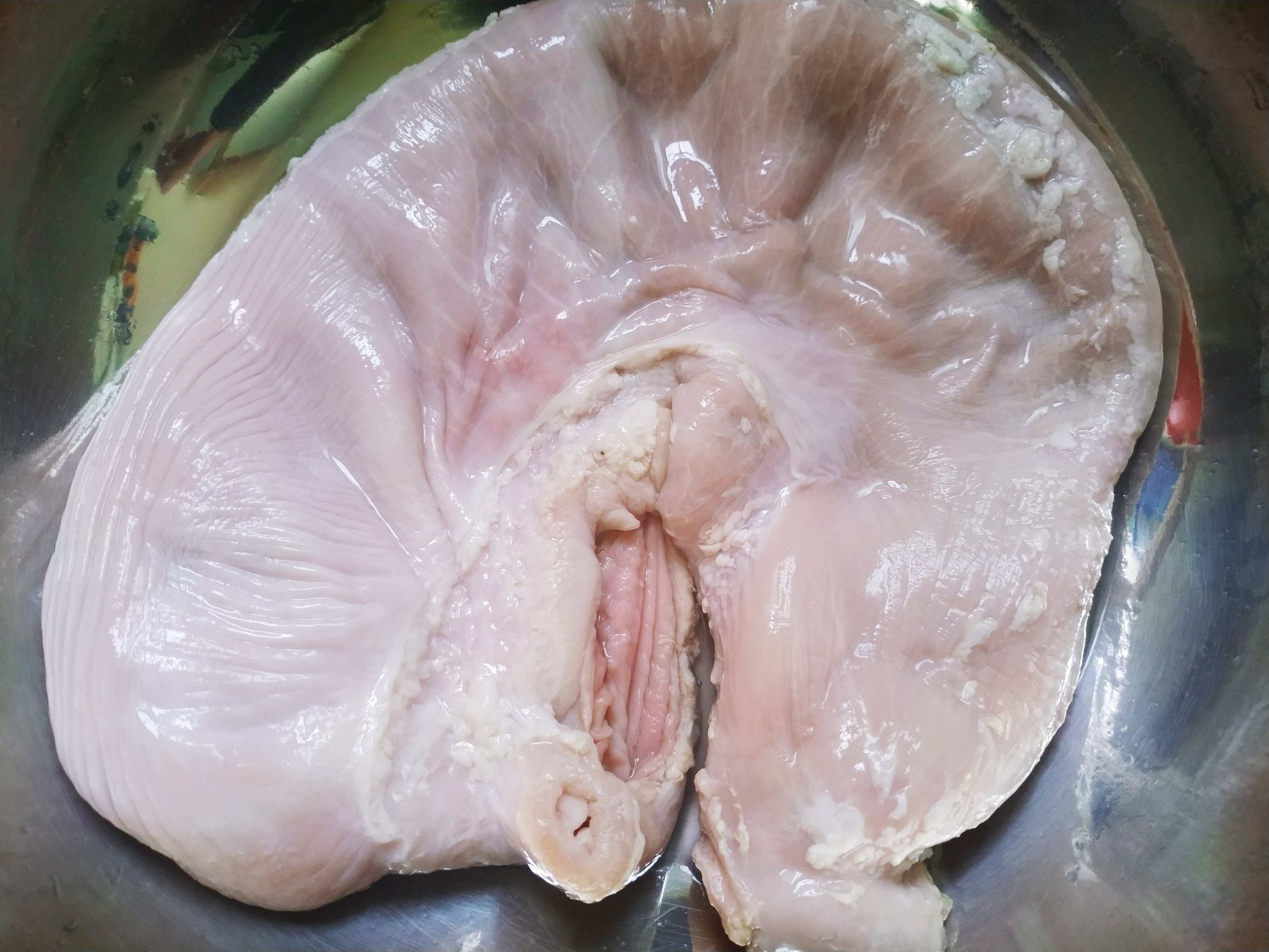 洗肥肠加什么好洗,猪肚猪肠如何焯水