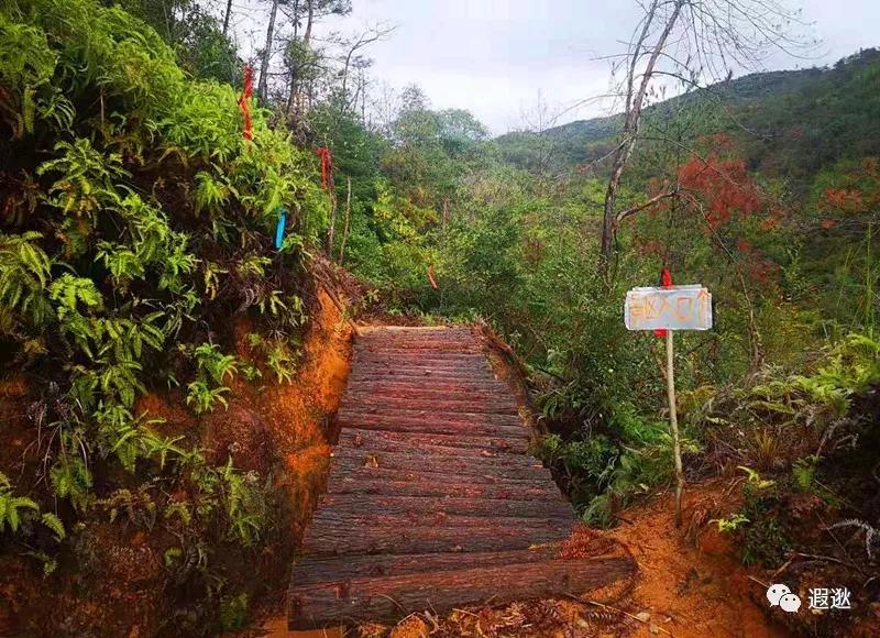 温州居然有这么美的小众景点,温州青龙山风景区在哪里