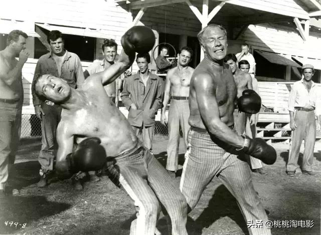 最值得看的100部电影,最值得一看100部电影