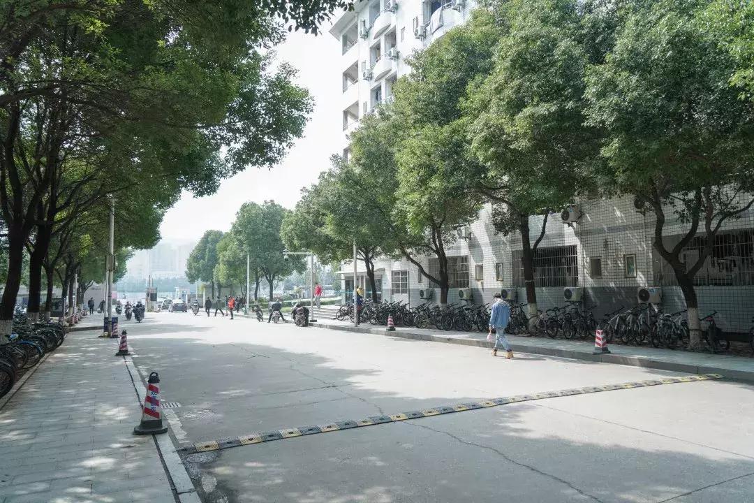 中南路事件,关于中南的那些事短剧