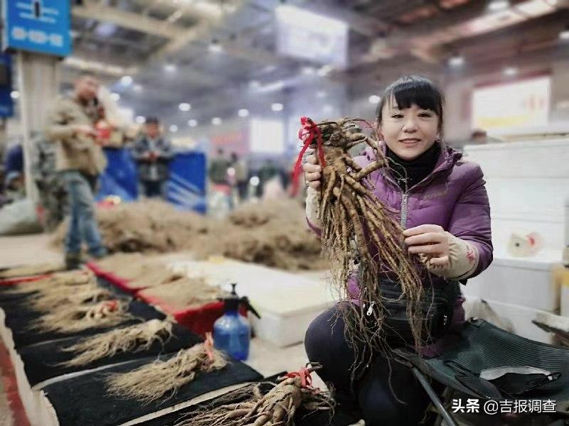 抚松万良人参市场最新价格,吉林抚松万良人参经营大户
