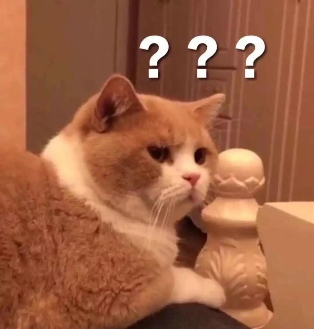 性格内向不会说话怎么改变,嘴笨不会说话脑子反应慢如何改变