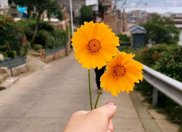 这座海岛我做好了攻略，适合约上最好的朋友一起去