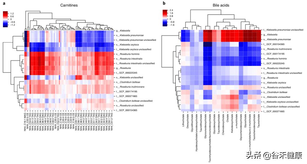 nature生物领域期刊,nature生物医学综述期刊