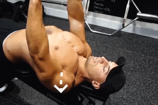 新手如何用一对哑铃练到全身,1对哑铃7个动作帮你训练全身肌肉