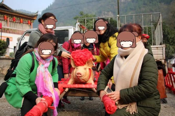 年猪宴,年猪宴旅游