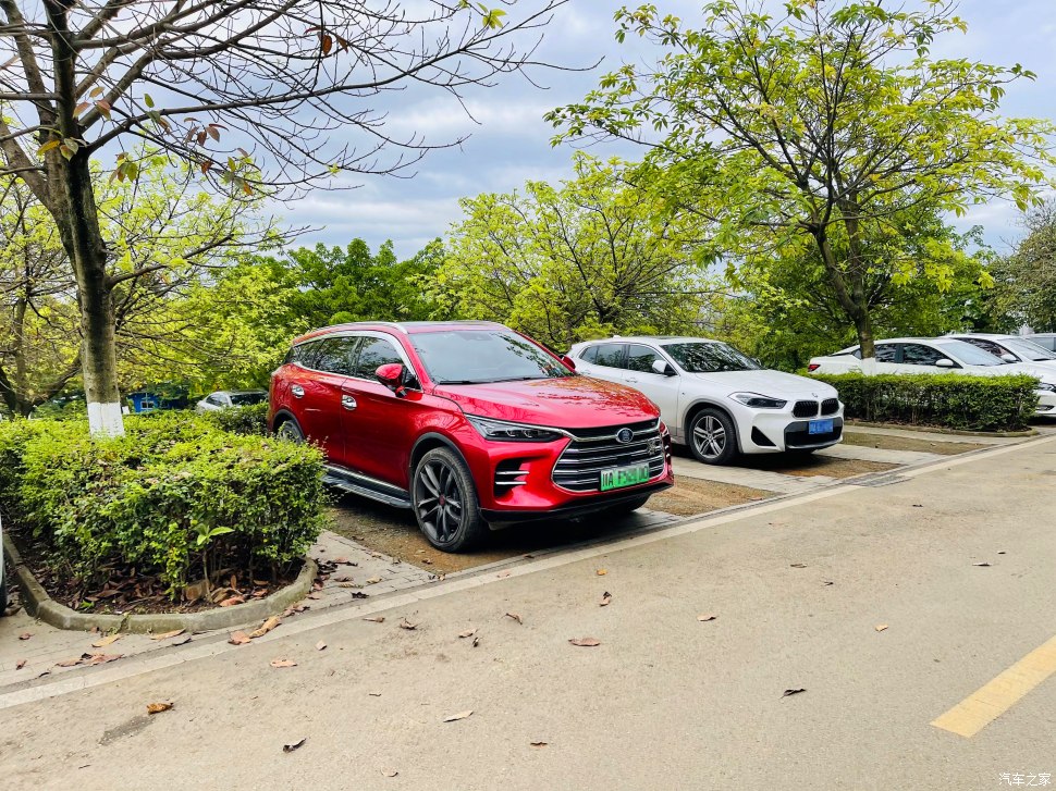 成都凤凰山公园可以爬山吗,成都凤凰山公园有什么好玩的