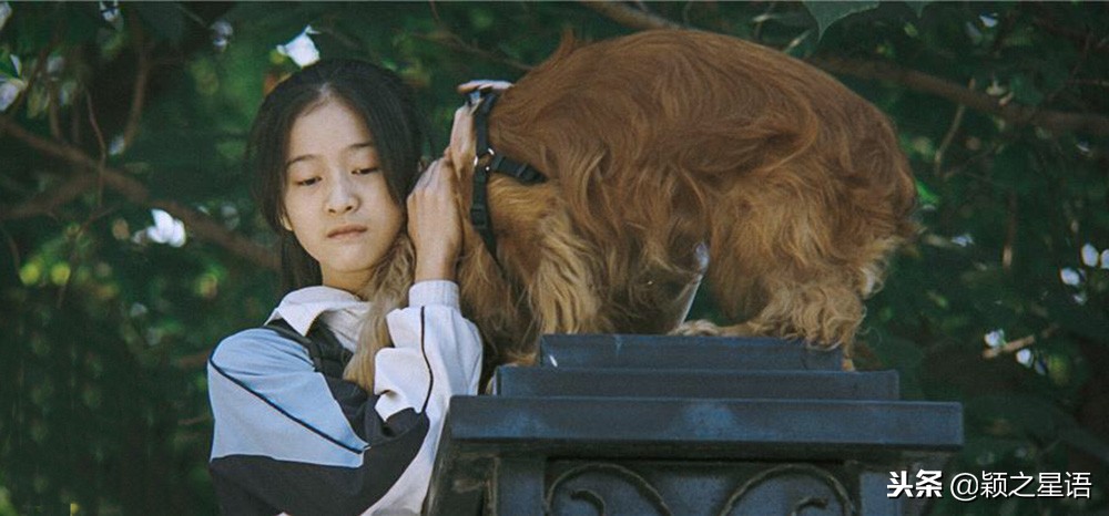 张雪迎演狗十三的时候多少岁,张雪迎狗十三首次挑战半路夫妻