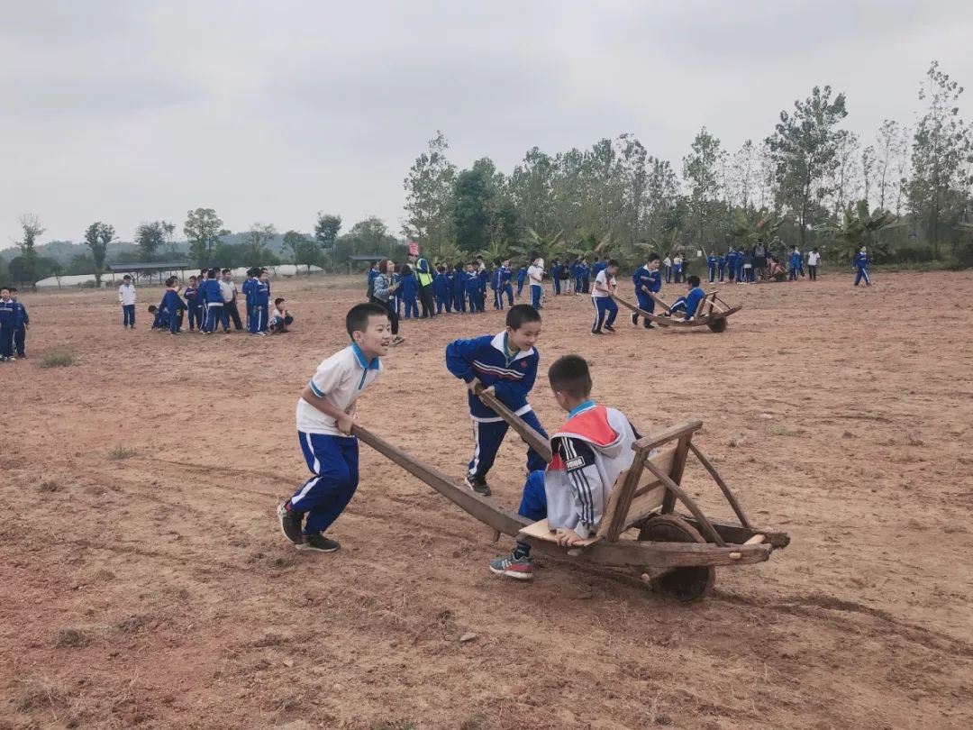 洋沙湖研学基地在哪里,洋沙湖岳阳研学