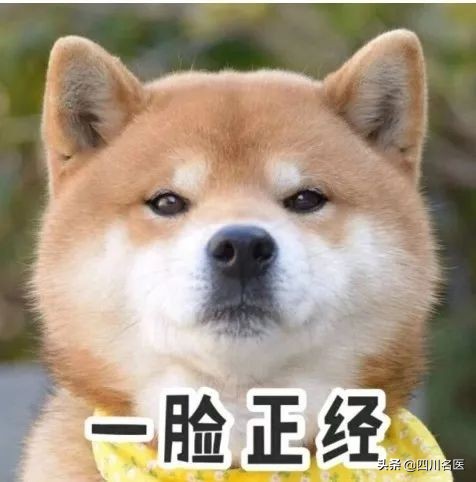 成都华西医院皮肤科雄性激素脱发,华西的皮肤科治疗脱发吗