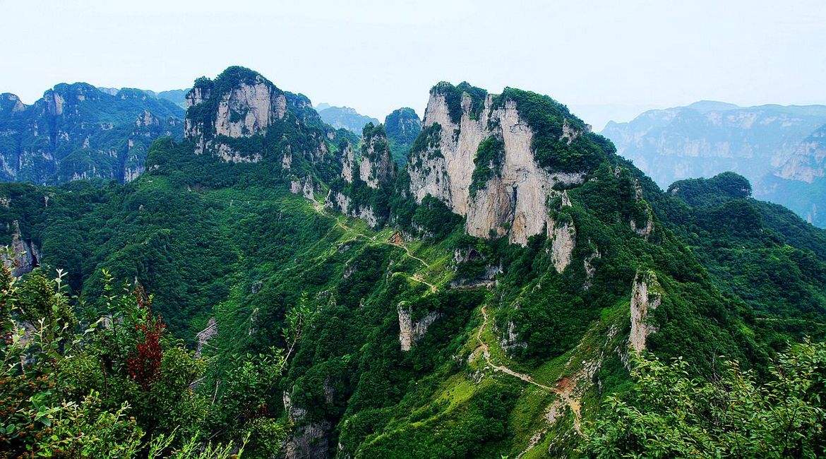 通过民间故事话*党**参，去了解如何使用它，以及*党**参的功效与作用