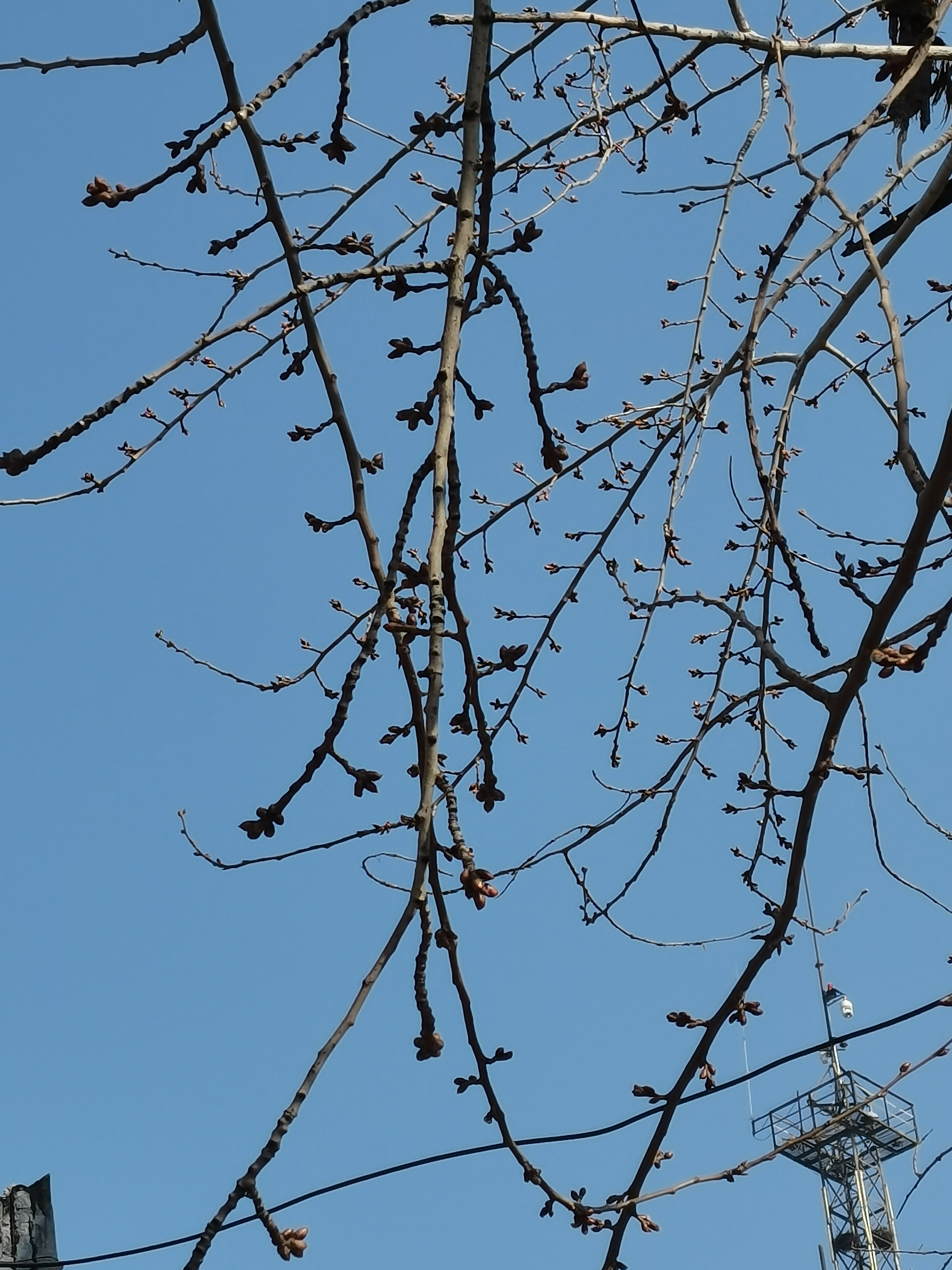 急性心梗一般住院多久,65岁急性心梗