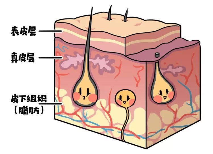 足贴排毒可信吗,足贴排毒是智商税吗