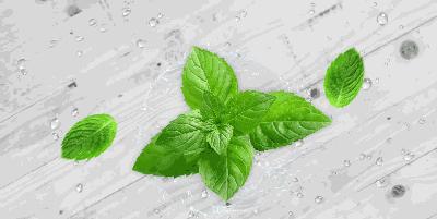 白色修身显瘦冬季裤子穿搭,冬季又显瘦又百搭的女士裤子