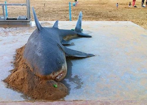 老外沙雕动物视频,外国人沙雕模仿动物