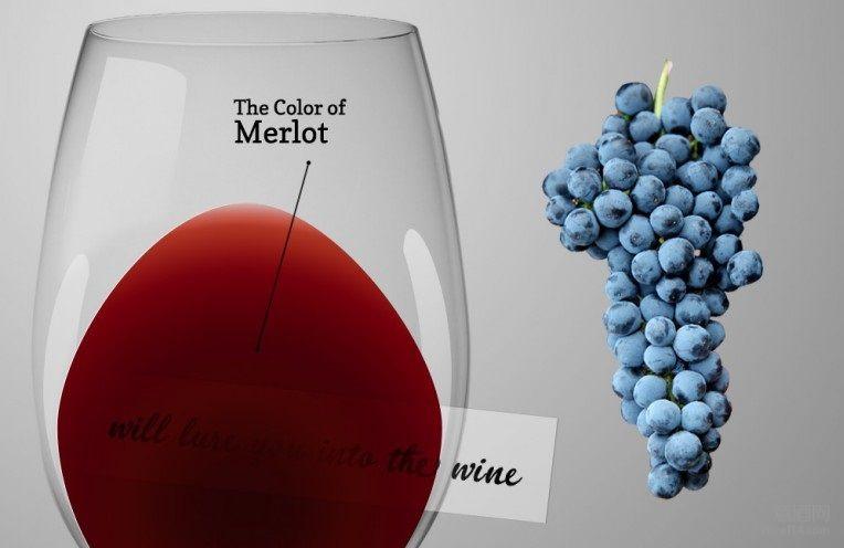 梅洛是白葡萄品种还是红葡萄品种,口感排名前十的葡萄品种