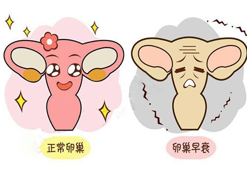 卵巢突然不排卵是怎么回事,卵巢不排卵女性就老了