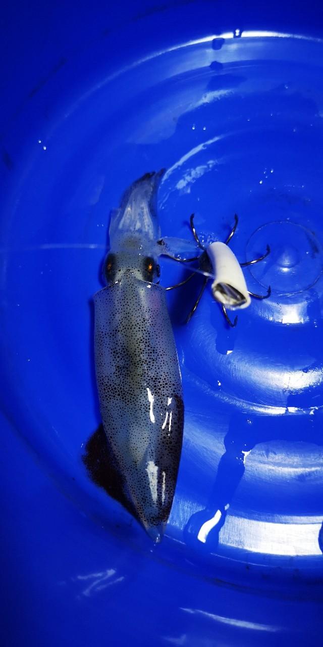 香港最后一块粤语净土,香港西贡一日游详细攻略