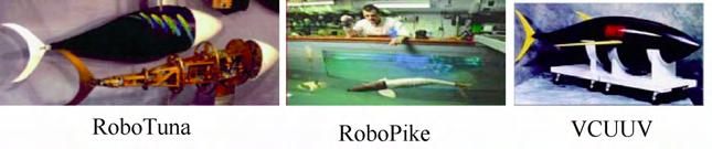 鱼为什么会游泳动画片,鱼为什么会游泳解说