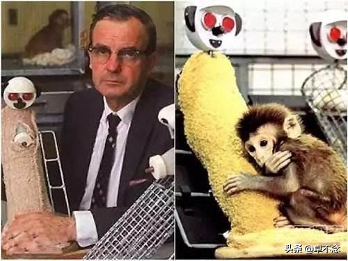 要上班了宝宝粘人怎么办,家有黏人崽