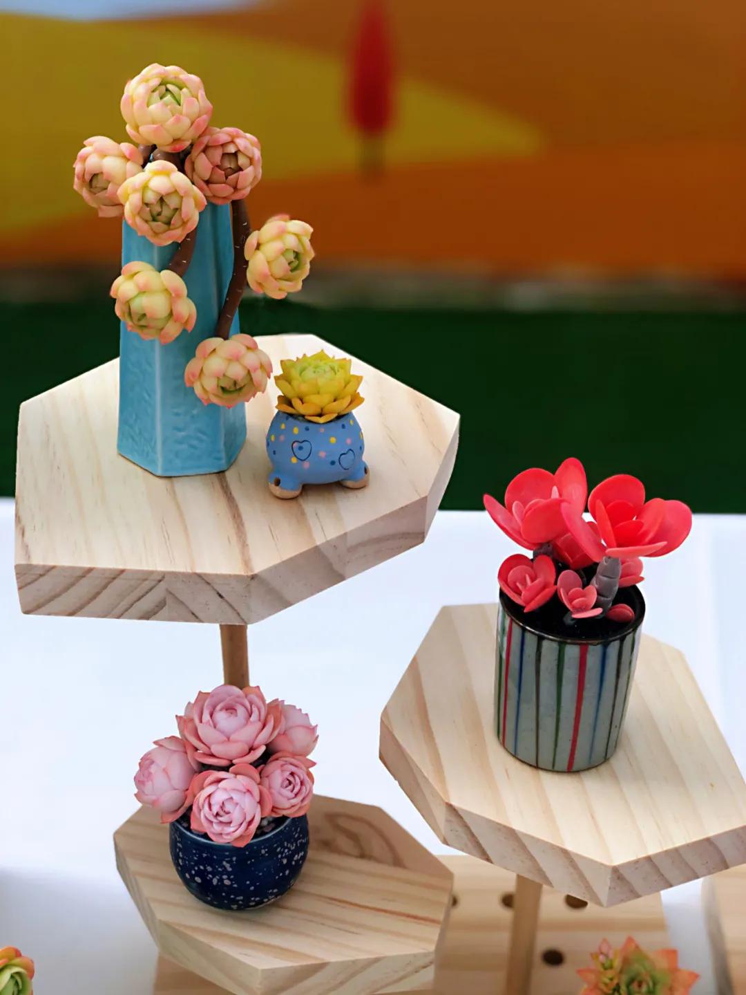 这个年销量上亿株多肉的县城，举办了首届多肉电商节