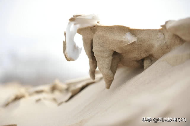 大海和沙漠之间的地方,大海和沙漠相接的地方