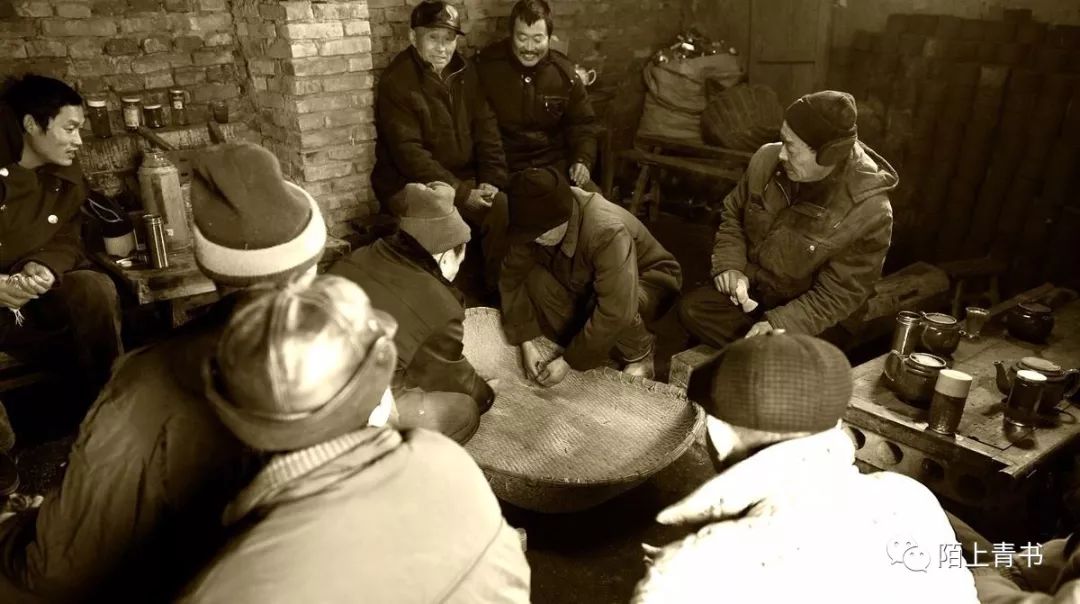 农村家禽圈养制度,农村冬天养鹌鹑